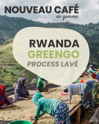 Café de spécialité Rwanda Greengo BIO : un pur arabica d’exception 🌿☕, Castres, Couleur Café