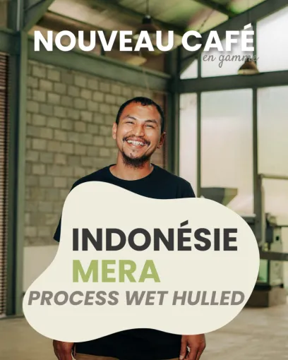 Café pur arabica d'Indonésie cultivé à Sumatra, Castres, Couleur Café