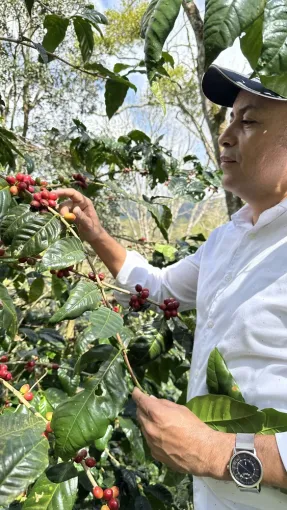 Découvrez le café Tostón : un mélange unique du Nicaragua, Castres, Couleur Café