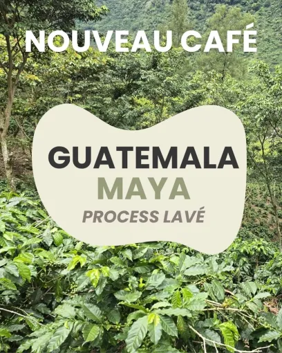 Nouveau café arabica du Guatemala à Castres, Castres, Couleur Café
