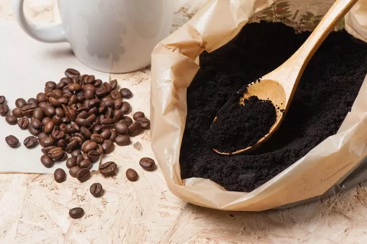 Le recyclage du marc de café : astuces zéro déchet, Castres, Couleur Café