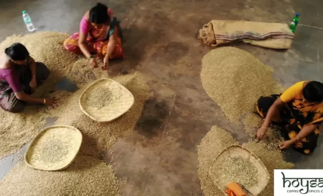Inde Shanivar : notre nouveau café de spécialité arabica, Castres, Couleur Café