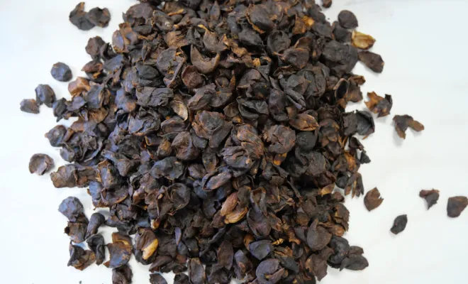 De la Cascara de café bio du Guatemala à Castres et Albi , Castres, Couleur Café