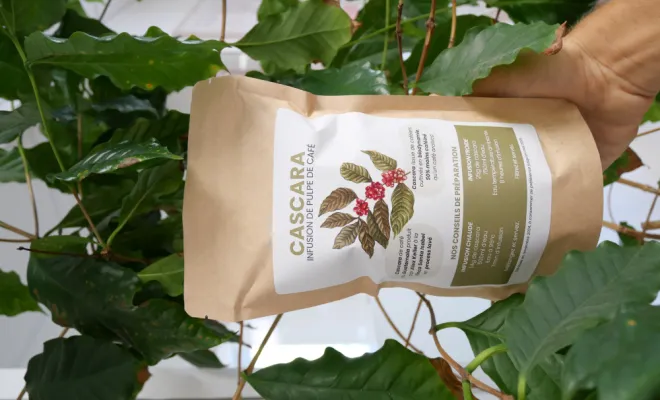 De la Cascara de café bio du Guatemala à Castres et Albi , Castres, Couleur Café