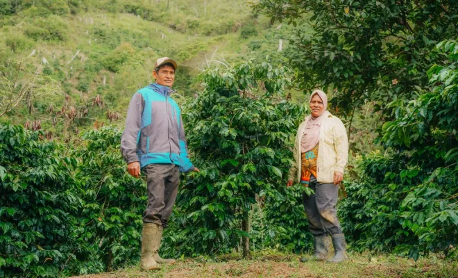 Notre nouveau café éphémère Indonésie Wet Hulled Anaérobique, Castres, Couleur Café