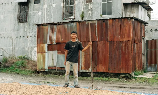 Notre nouveau café éphémère Indonésie Wet Hulled Anaérobique, Castres, Couleur Café