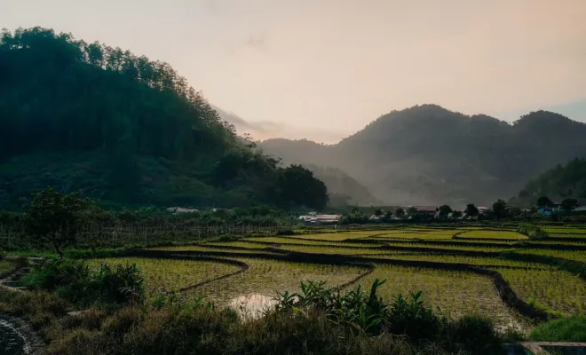 Notre nouveau café éphémère Indonésie Wet Hulled Anaérobique, Castres, Couleur Café