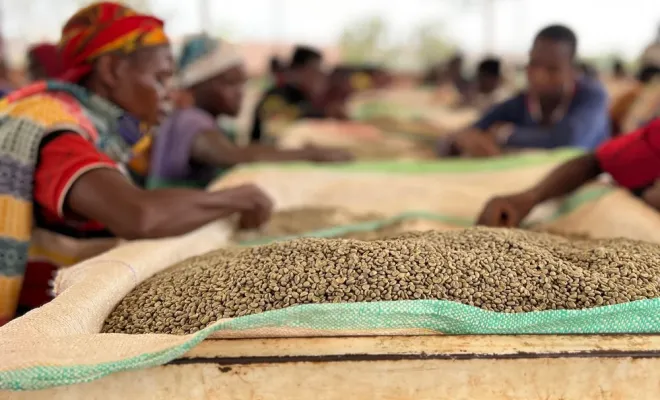 Un café d'exception du Burundi avec un impact social positif, Castres, Couleur Café